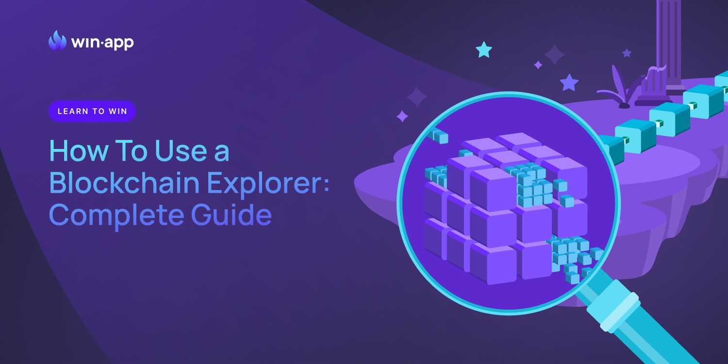 How To Use a Blockchain Explorer – Complete Guide